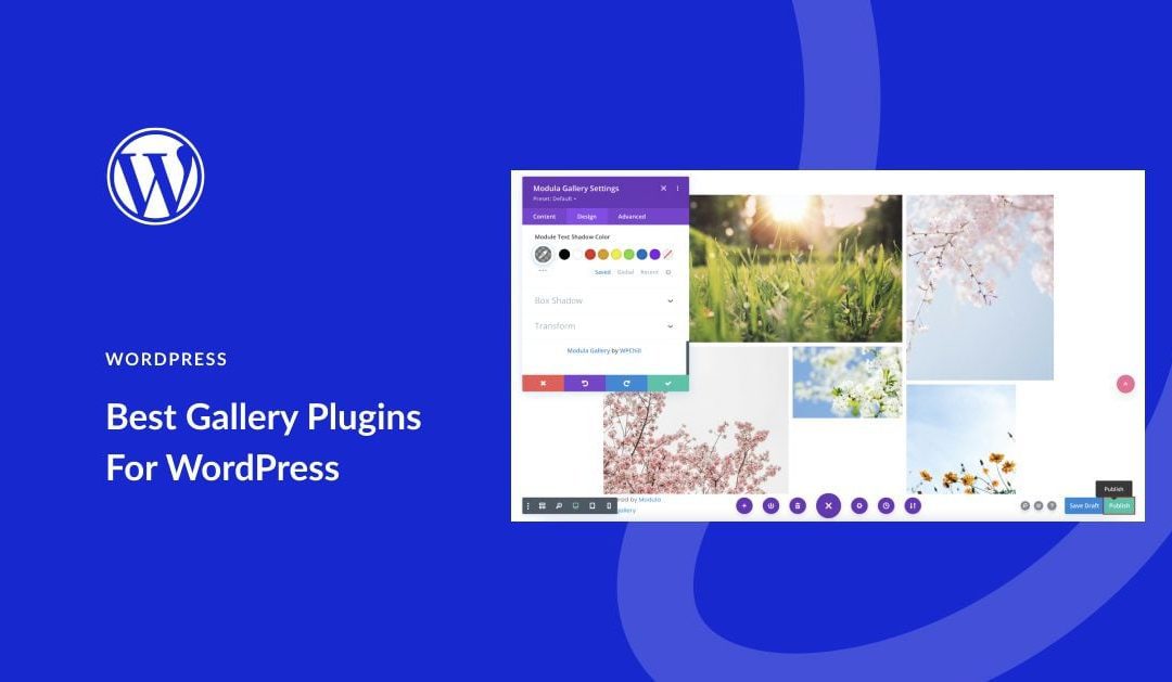 7 Best Gallery Plugins for WordPress (in 2023)