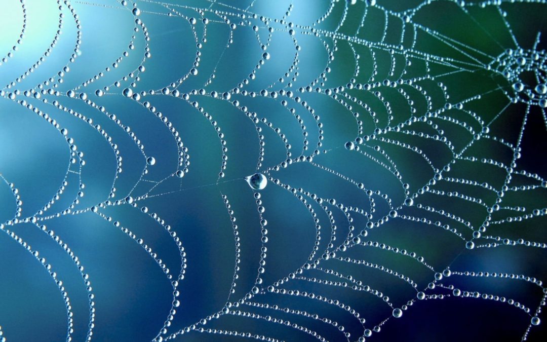 Webinar: Think spiderwebs, not funnels, for remarkable SEO results by Cynthia Ramsaran