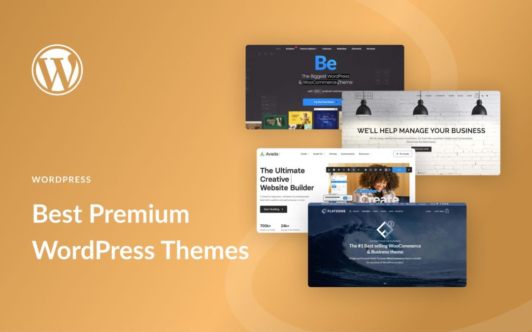 11 Best Premium WordPress Themes in 2023 (Reviewed & Compared)