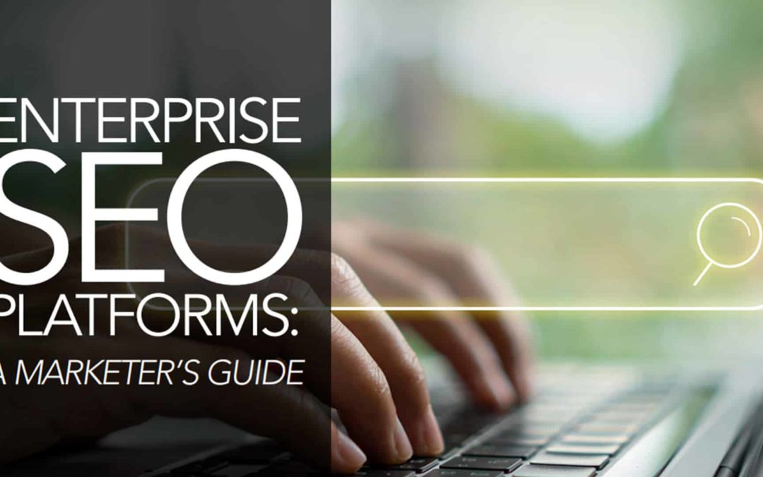 What do SEO platforms do? Do you need one?