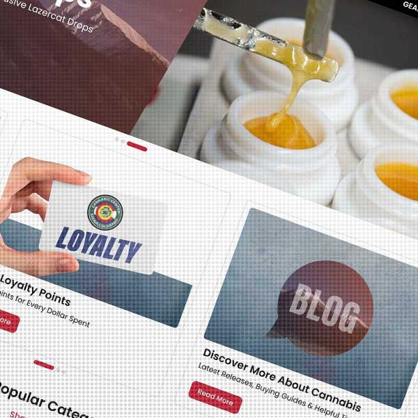 3D Cannabis Center Salida website screenshot
