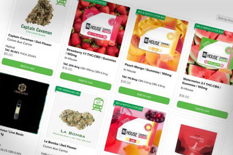 website development, quincy ma - cannabis website screenshot
